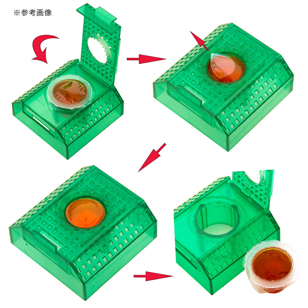 �����ڤꥻ�å���������꡼�����꡼���å���������������