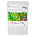 エフィッシュ 水創エナジー 浄化バクテリア粉末 30ml SE-30P 熱帯魚 観賞魚 関東当日便