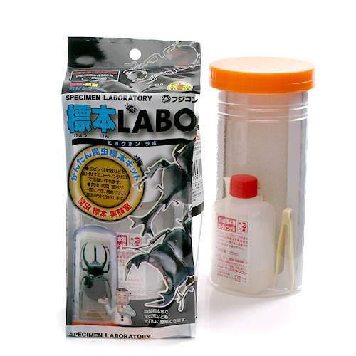 フジコン　標本LABO　かんたん昆虫標本セット（1〜2匹用）　昆虫　標本用品　標本セット　関東当日便