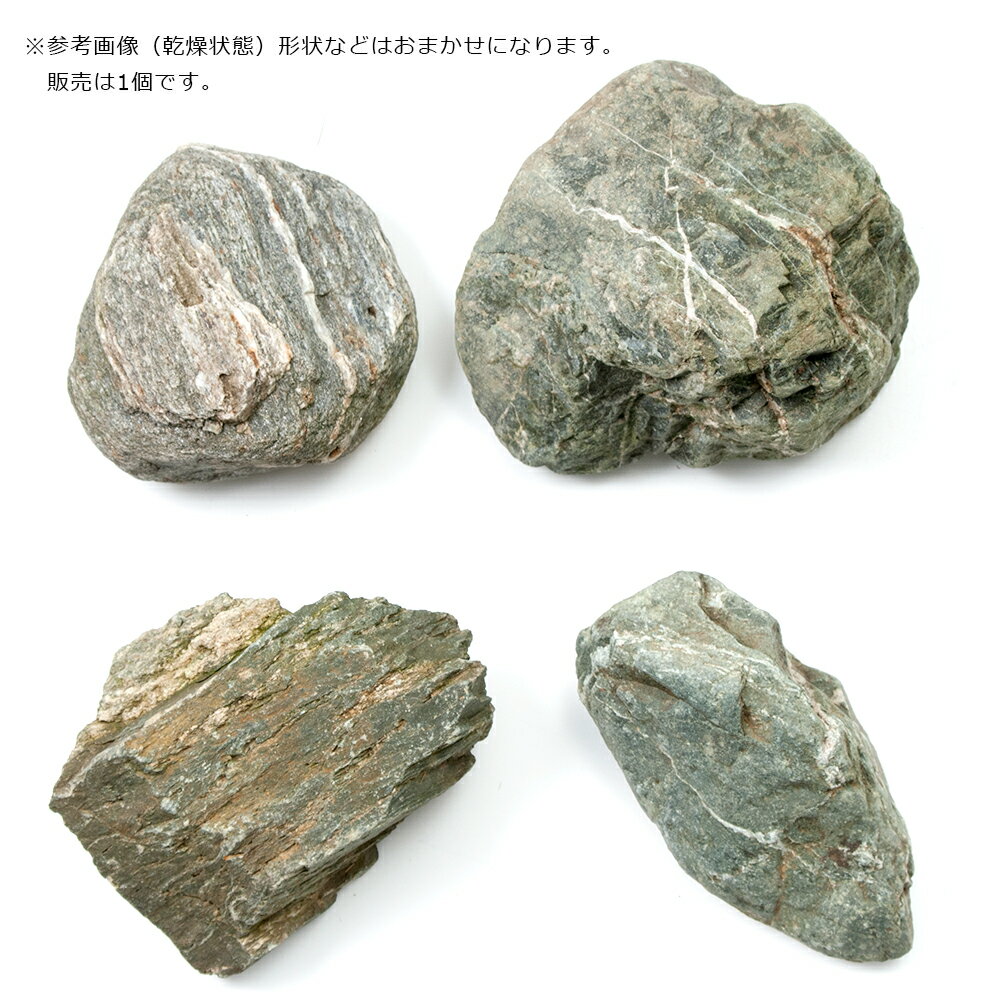 ������Ǥ�������С��ߤ�����������������