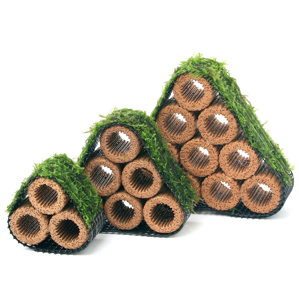 （水草）巻きたて　ライフマルチ（茶）ウィローモスsp．ナロー　コテージ（中）（...