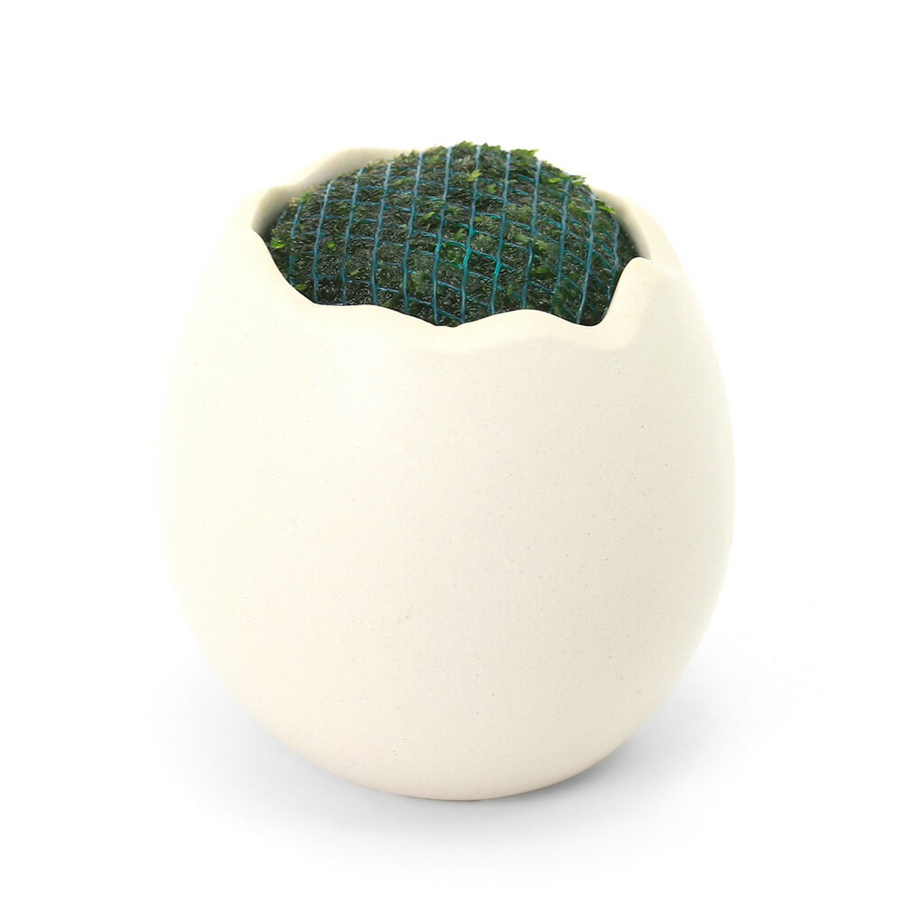 （水草）エッグプラン