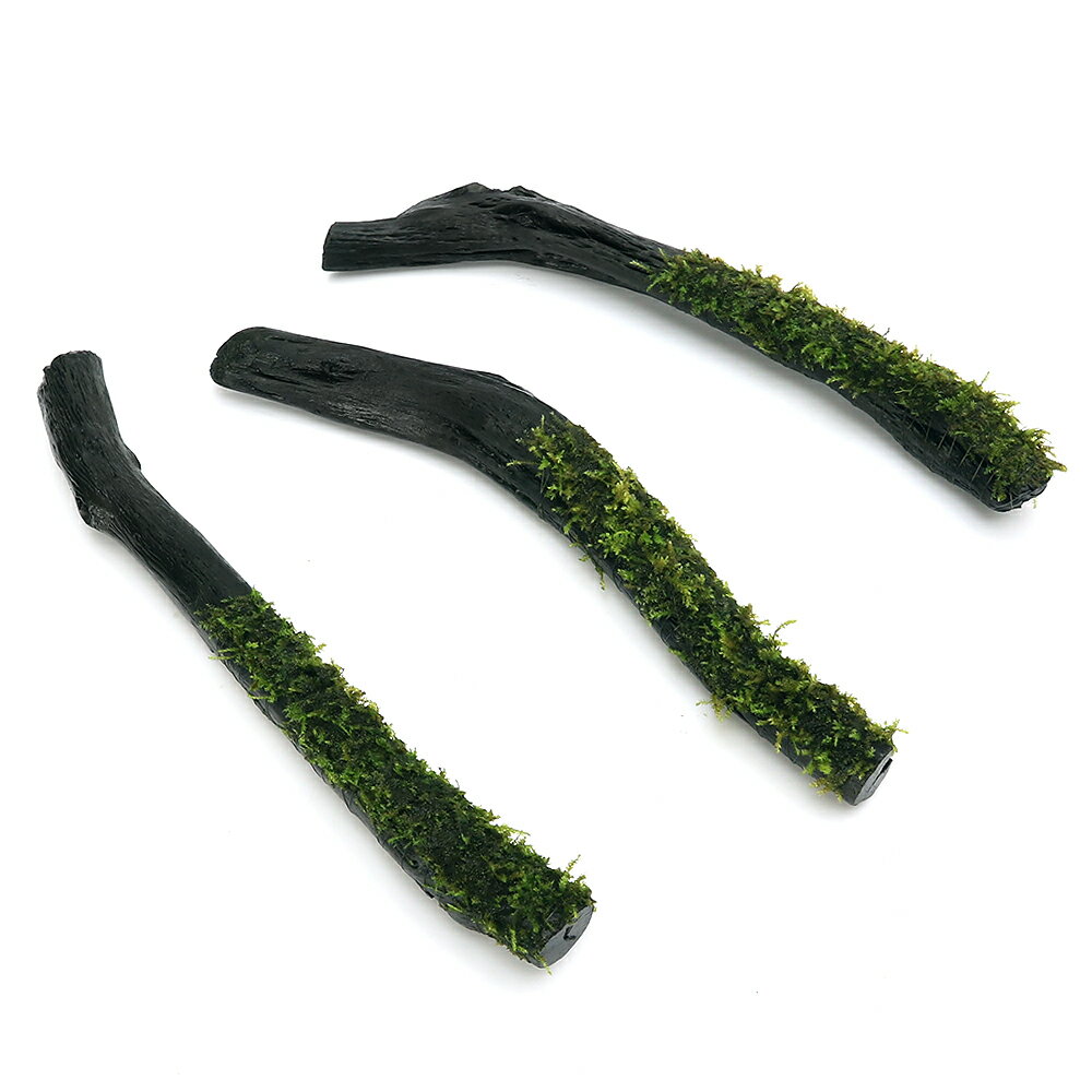 （水草）巻きたて　南