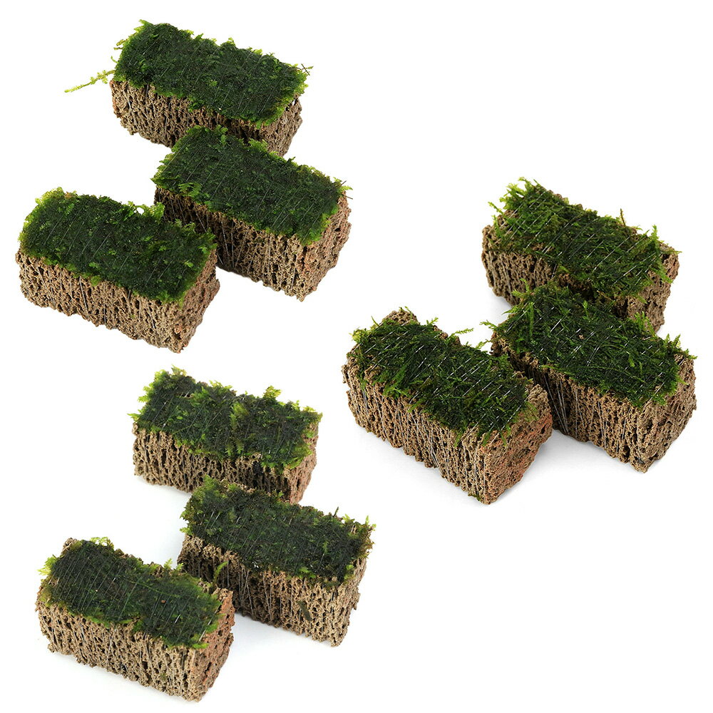 （水草）巻きたて　定番モス5種セット　TSUMIKI　（水中葉）（無農薬）（1セット）