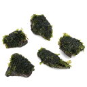 (水草)巻きたて ハネゴケsp.カメルーン産 風山石小粒(3〜5cm)(水中葉)(無農薬)(5個)