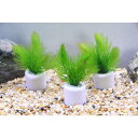 (水草)マルチリングホワイト(白) マツモ プチ(無農薬)(3個)メダカ 金魚 水質浄化 産卵床