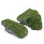 （水草）巻きたて　ジャイアント南米ウィローモス　風山石　Sサイズ（約10cm）（水中葉）（無農薬）（1個）