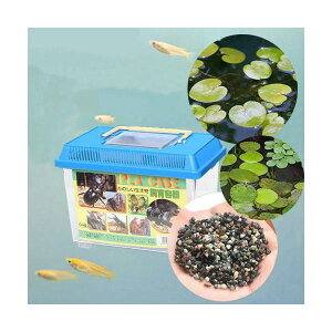 (めだか)学校教材 メダカの学校 観察セット 青 説明書付 飼育セット 本州四国限定