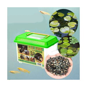 (めだか)学校教材 メダカの学校 観察セット 緑 説明書付 飼育セット 本州四国限定