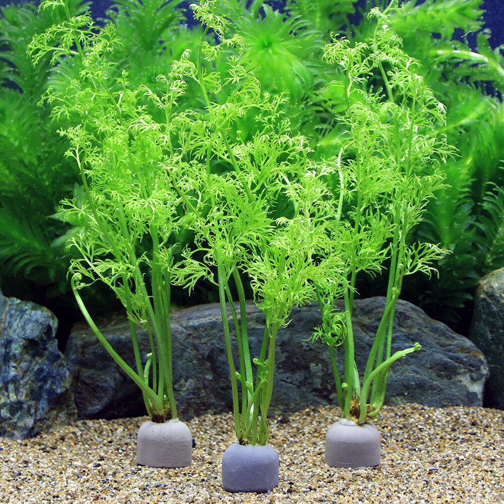 画像はイメージです。入荷時期により株の大きさや葉の枚数が異なる場合がございます。※本商品はリニューアルしております。2023年10月13日にマルチリングブラック(黒)からゼオライトリング（グレー）に変更になりました。ゼオライトリング（グレー）　ベトナム産スプライト（2個）販売名ベトナム産　スプライト商品サイズ約20cm〜30cm分布東南アジアどんな種類？より細かい切れ込みが入るウォータースプライトです。注意※育成状況により、写真程度のボリュームに複数株合わせ発送させて頂くことも御座います。ご了承ください。※表記サイズは1株（1本）でのおおよその目安です。育成環境や、成長の度合いにより最大サイズは異なります。※ライフマルチ・ゼオライトリングは水草を沈めるための重りとなっていますので、商品到着時は外さずにご使用下さい。成長してまき直し等が必要になった時は、有茎草であれば短く切って巻きなおしたり、外して底床に植え付ける等の対応が必要となります。PSBQ10　ピーエスビーキュート　淡水用　30mL5個セット　光合成細菌　バクテリア　熱帯魚（生餌）淡水用　微生物で水質向上セット　エサ用ゾウリムシミックス＋PSBQ10　本州四国限定パワーハウス　ベーシック（ソフトタイプ）　Sサイズ　淡水用　5リットル　微酸性　ろ材　pH維持Plants　Green　プランツグリーン　250ml　（水草の栄養液）（熱帯魚）オトシンクルス（3匹）　北海道・九州航空便要保温（エビ）ミナミヌマエビ（10匹）（＋1割おまけ）Fe　Energy（エフイーエナジー）　400g　5mm　（水草の栄養素）Fe　Energy（エフイーエナジー）　アクア　濃縮タイプ　20mL　（水草の栄養液）魚が簡単に飼える　リーフプロソイル　pHダウン　8L　pH4．5〜5．5　お一人様3点限り　吸着ソイル　国産　熱帯魚　用品魚が簡単に飼える　リーフプロソイル　pHダウン　8L　pH4．5〜5．5　お一人様3点限り　吸着ソイル　国産　熱帯魚　用品日本動物薬品　ニチドウ　水草が育つCO2リキッド　2本入　（緑）アクロ　化学反応式CO2ジェネレーターセット　クエン酸重曹付属　水草育成イオン交換樹脂　軟水用　1L　アクアリウム用品　Leaf … 熱帯魚　_wp　_aqua　水草　後景草　ギザギザ　ベトナム産スプライト　MI　マルチリング　ブラック　LMBK　20161213　TS　ゼオライトリング　グレー　zeoliteringplants　202501seitaievent02　weeklywplant　irupaqtok　seitaiirupaqtok（水草）ゼオライトリング（グレー）ベトナム産スプライト（水上葉）（無農薬）（1個）構成する商品内容は在庫状況により予告無く変更になる場合がございます。予めご了承下さい。■この商品をお買い上げのお客様は、下記商品もお買い上げです。※この商品には付属しません。■PSBQ10　ピーエスビーキュート　淡水用　30mL5個セット　光合成細菌　バクテリア　熱帯魚（生餌）淡水用　微生物で水質向上セット　エサ用ゾウリムシミックス＋PSBQ10　本州四国限定パワーハウス　ベーシック（ソフトタイプ）　Sサイズ　淡水用　5リットル　微酸性　ろ材　pH維持Plants　Green　プランツグリーン　250ml　（水草の栄養液）（熱帯魚）オトシンクルス（3匹）　北海道・九州航空便要保温（エビ）ミナミヌマエビ（10匹）（＋1割おまけ）Fe　Energy（エフイーエナジー）　400g　5mm　（水草の栄養素）Fe　Energy（エフイーエナジー）　アクア　濃縮タイプ　20mL　（水草の栄養液）魚が簡単に飼える　リーフプロソイル　pHダウン　8L　pH4．5〜5．5　お一人様3点限り　吸着ソイル　国産　熱帯魚　用品魚が簡単に飼える　リーフプロソイル　pHダウン　8L　pH4．5〜5．5　お一人様3点限り　吸着ソイル　国産　熱帯魚　用品日本動物薬品　ニチドウ　水草が育つCO2リキッド　2本入　（緑）アクロ　化学反応式CO2ジェネレーターセット　クエン酸重曹付属　水草育成イオン交換樹脂　軟水用　1L　アクアリウム用品　Leaf