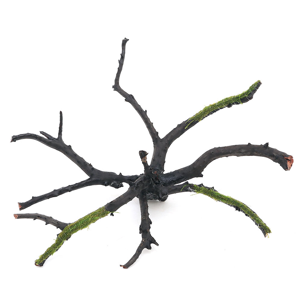 （水草）巻きたて　バブルモス　枝状流木　Mサイズ（約20cm〜）（水中葉）（無農薬）（1本）