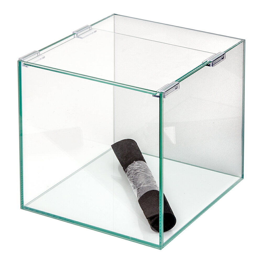 バックスクリーン貼付済 サンド オールガラス25cm水槽 アクロ25N（25×25×25cm）