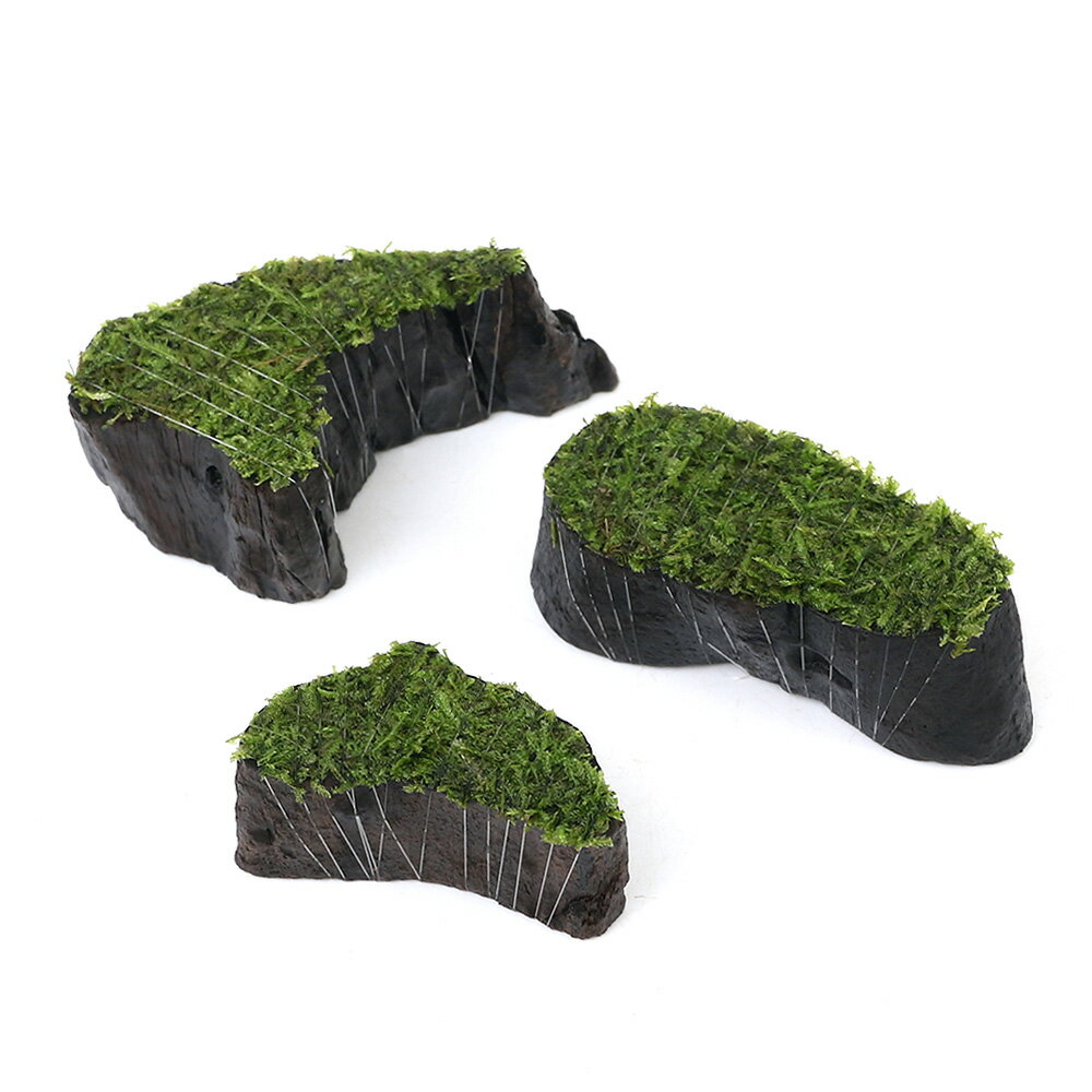（水草）巻きたて　ジャイアント南米ウィローモス　切り株流木　ミニサイズ（水中葉）（無農薬）（3個）