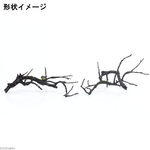 (水草)巻きたて ウォーターフェザー 枝状流木...の紹介画像2