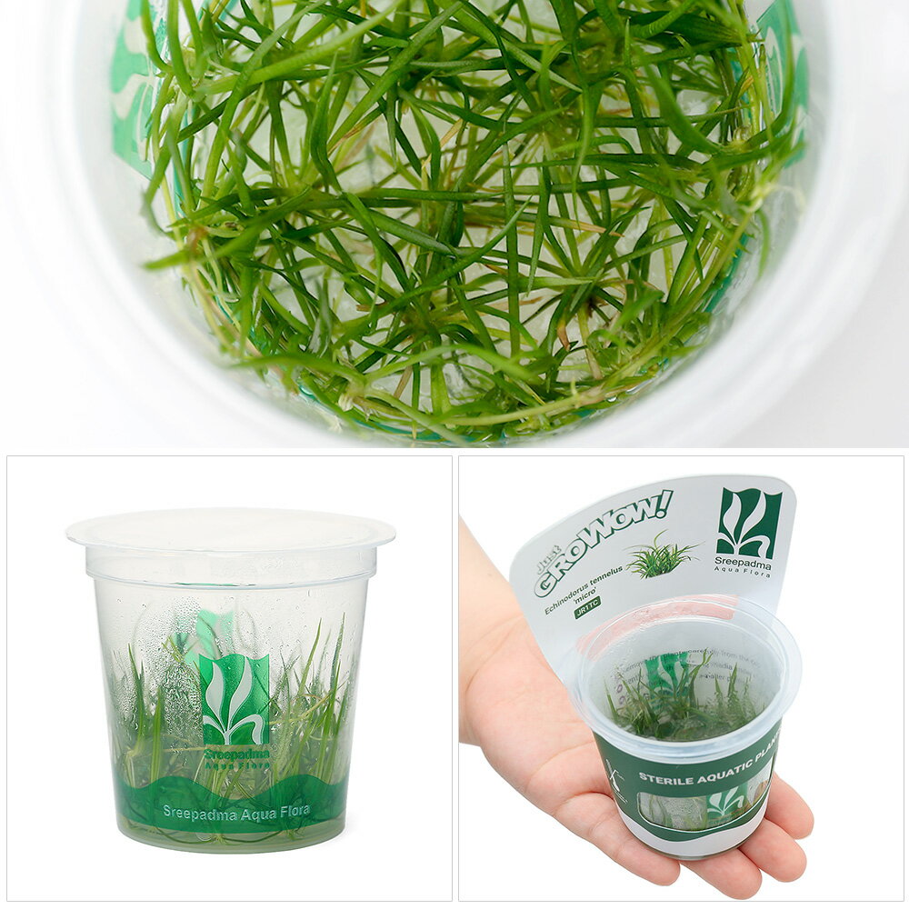 �ʿ�����ȿ�����GROWOW���������Υɥ륹���ƥͥ륹���ߥ�����̵�����ˡ�1���åסˡ�JR1 TC