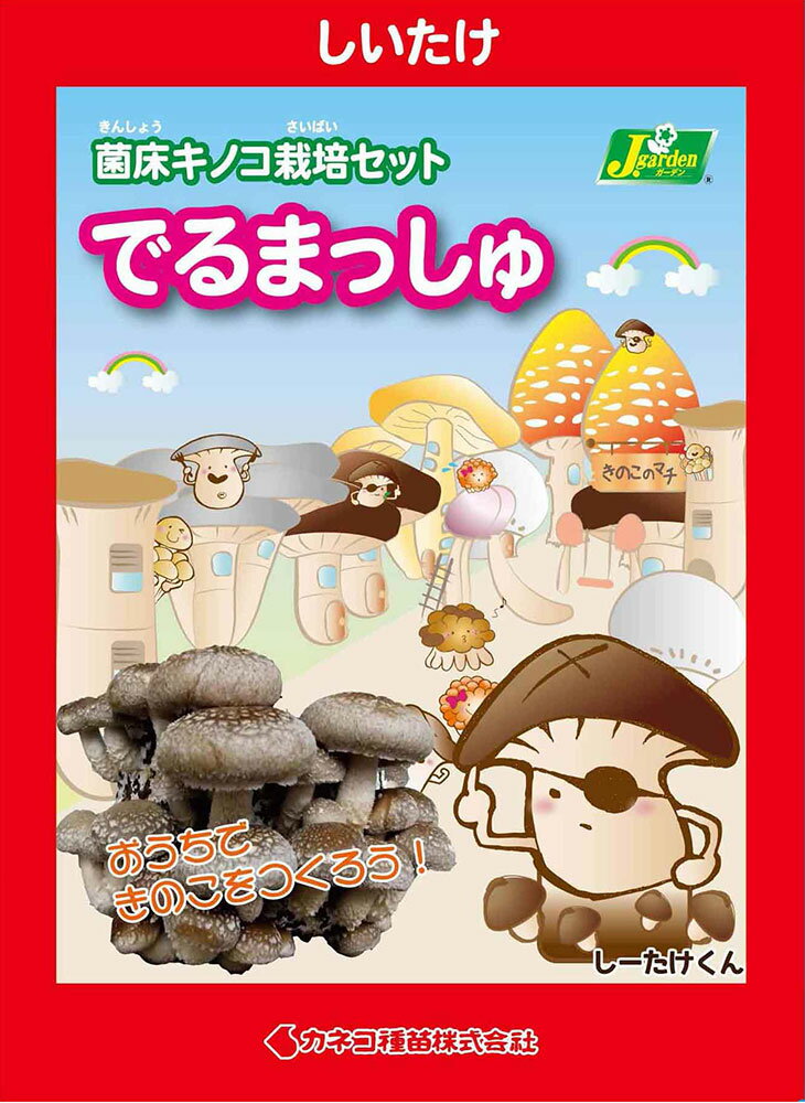 (観葉植物)きのこ栽培キット でるまっしゅ しいたけ(1個) 家庭菜園