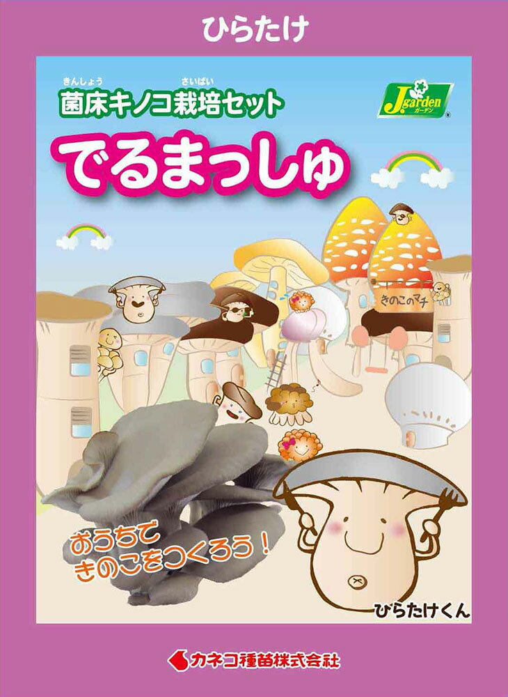 観葉植物 きのこ栽培キット でるまっしゅ ひらたけ 1個 家庭菜園【HLS_DU】