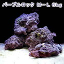 (海水魚)ライブロック EXSグレード パープルロック M−Lサイズミックス 6kg(形状お任せ) 北海道航空便要保温