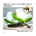 （水草）巻きたて 南米ウィローモス スティック流木 Mサイズ（約20cm）（形状お任せ（水中葉）（無農薬）（1本）