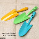 カラー移植ゴテ 関東当日便