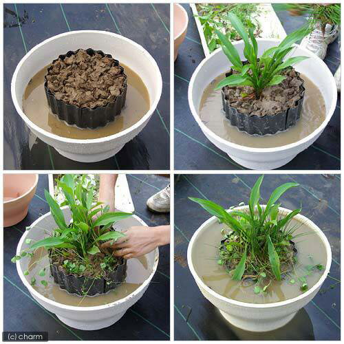 �����ʤߡ��⤵35cm����Ĺ180cm������������