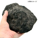 形状お任せ　浅間溶岩石　Lサイズ（約18～23cm）　3個　アクアリウム　レイアウト素材　お一人様3点限り【HLS_DU】　関東当日便 3