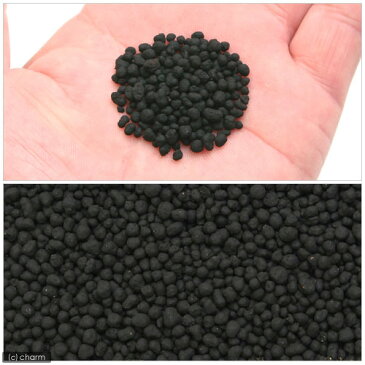 アウトレット品 お一人様2点限り A&Fソイル 8kg 熱帯魚 用品 関東当日便