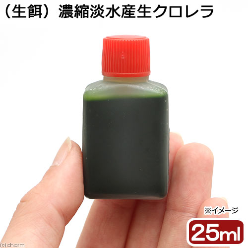 生餌 濃縮淡水産生クロレラ（25ml）