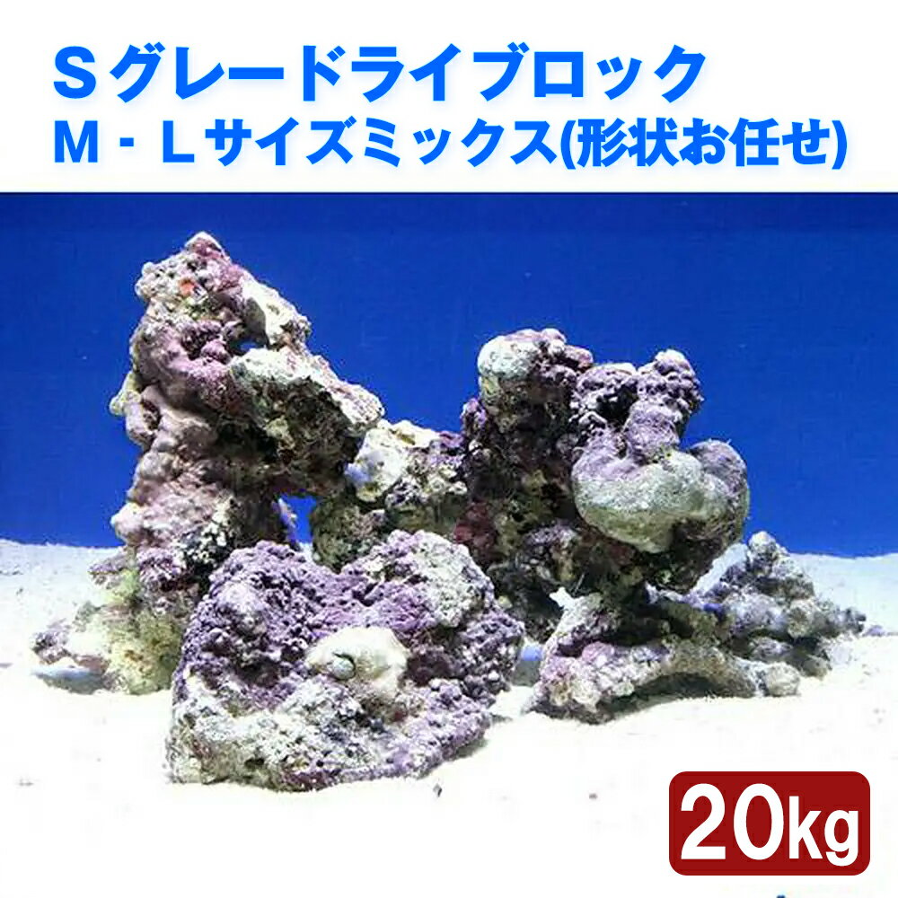 （海水魚）Sグレードライブロック　M−Lサイズミックス（20kg）（形状お任せ）　北海道・九州航空便要保温