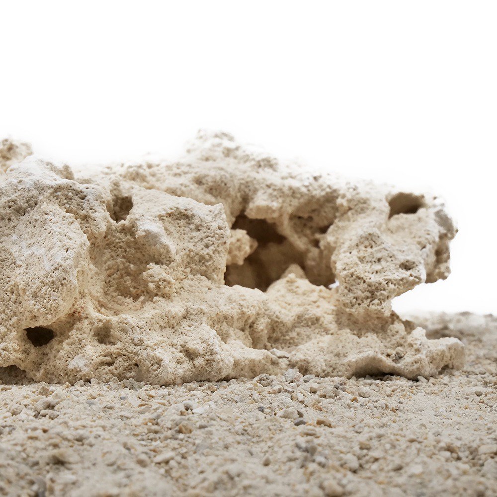 �ޥ륳���å����ե�����ǡ������L��������1�ġ����󥴡��С����塡���塡���ꡡ�쥤�����ȡ�����������