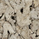 #40 C.P.Farm 天然サンゴ砂 #40 Natural coral sand 3L 関東当日便