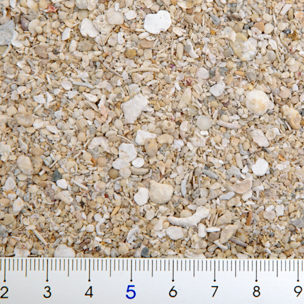 C��P��Farm�����饴�ʥ��ȥ���ɡ��Ρ��ޥ롡1L������������