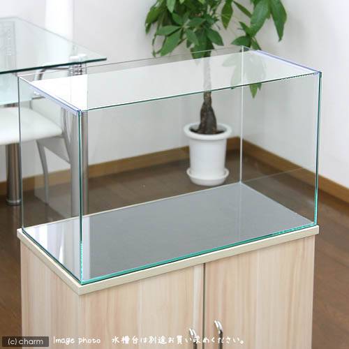 60cm水槽アクロ60N（60×30×36cm）オールガラス水槽の画像2枚目