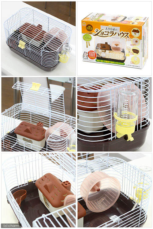 GEX���ϥӤ󤰡��礭����Υ��祳��ϥ�����31��20��18cm�ˡ�����󥬥ꥢ�󡡾����ϥॹ�������������������å���������������