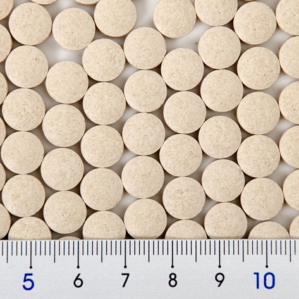 三晃商会　ビタミンCサプリ　20g　関東当日便