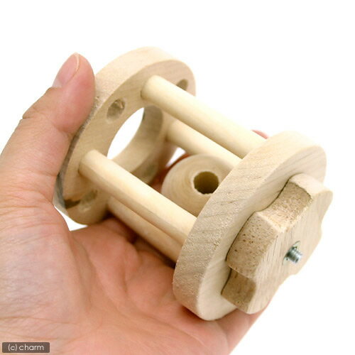 �������񡡥��ꥬ������顼���ߥˡ�����������