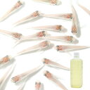 (生餌)(めだか)白メダカ(12匹)+タマミジンコ入り飼育水(500ml)1本