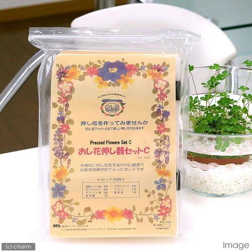 押し花押し器セットC【HLS_DU】　関東当日便