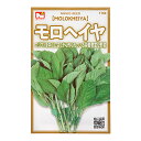 野菜の種　モロヘイヤ　品番：1164　家庭菜園【HLS_DU】　関東当日便