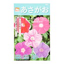 緑のカーテン　あさがお（MORNING　GLORY）　品番：1041　日光種苗　家庭菜園【HLS_DU】　関東当日便