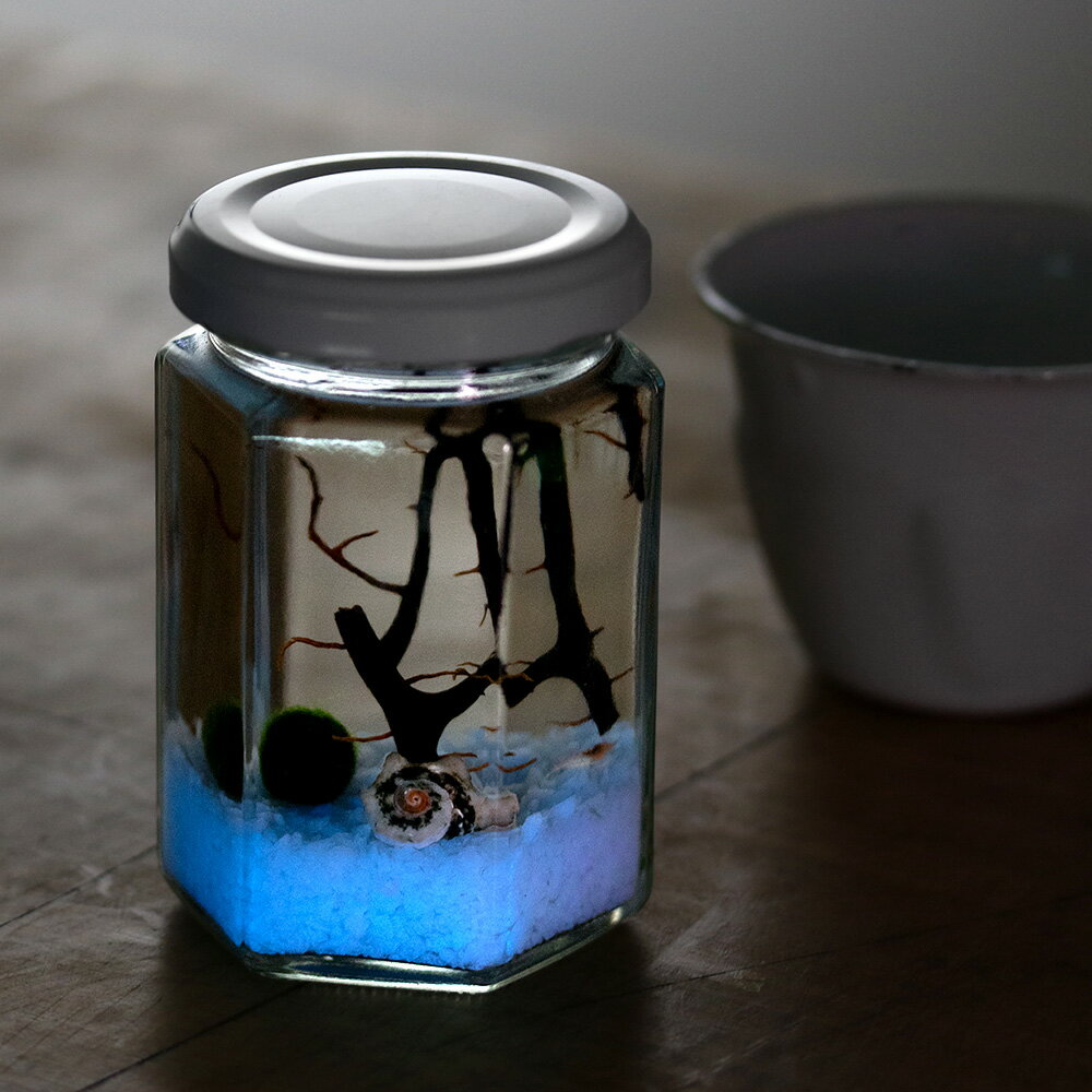 【10/5限定】当選確率2分の1!1等最大100% (エビ)ホロホロ・ボトル ハニカム(六角・蓄光石スカイブルー) 本州四国限定