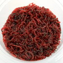 (生餌)活アカムシ(50g) 活餌