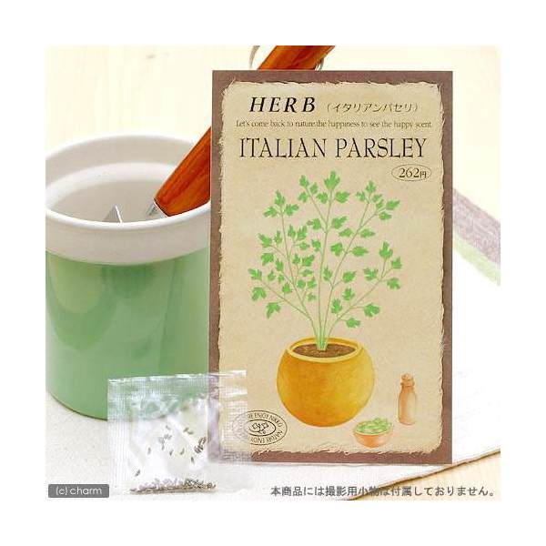 ハーブ　HERB　（イタリアンパセリ）　品番：828　家庭菜園【HLS_DU】　関東当日便