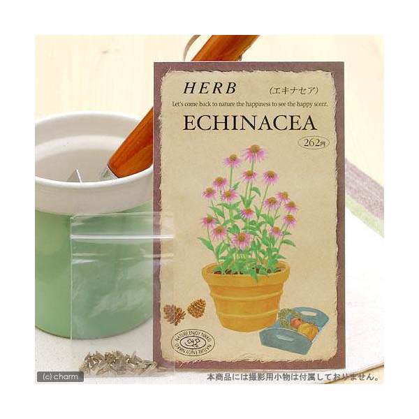 ハーブ　HERB　（エキナセア）　品番：846　家庭菜園【HLS_DU】　関東当日便