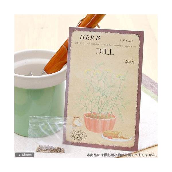 ハーブ　HERB　（ディル）　品番：818　家庭菜園【HLS_DU】　関東当日便