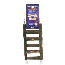 川井 ニームはしご S 関東当日便