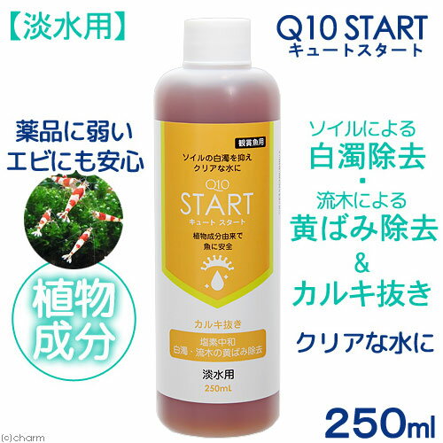 Q10スタート 淡水用 250mL 植物由来 白濁除去（エビに優しいカルキ抜き）