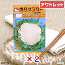 賞味期限:2017年12月31日 お買い得品2個セット 野菜の種 カリフラワー 品番:2121 家庭菜園 訳あり 関東当日便