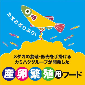 キョーリン　メダカのエサ　産卵・繁殖用　40g　めだか　餌　えさ　関東当日便