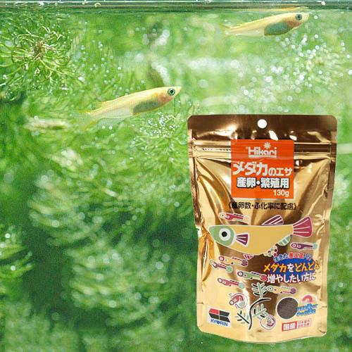 （まとめ）メダカ幼魚ハイパー育成 28g （ペット用品）【×10セット】【代引不可】